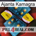 Ajanta Kamagra cialis5